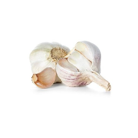 Bawang Putih
