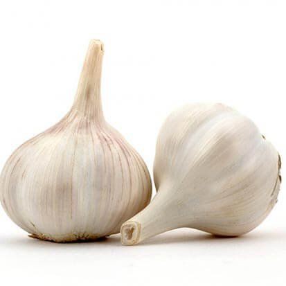 Bawang Putih