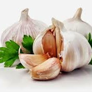 Bawang Putih