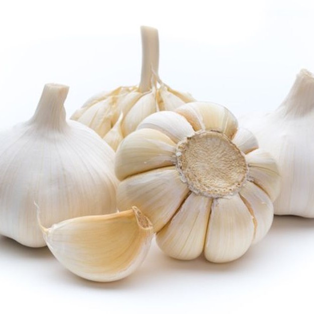 Bawang Putih
