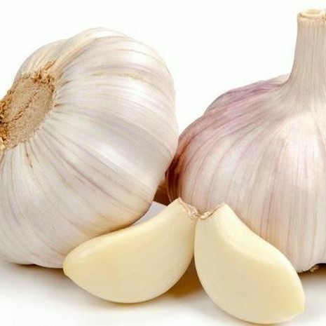 Bawang Putih