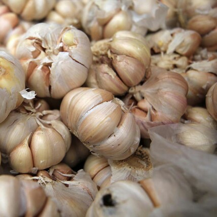 Bawang Putih