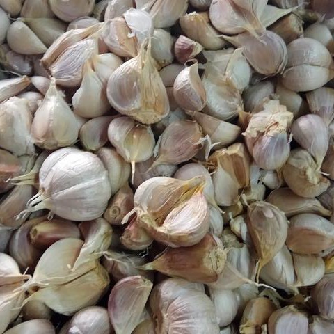 Bawang Putih 250gr