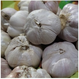 Bawang Putih 250 gr
