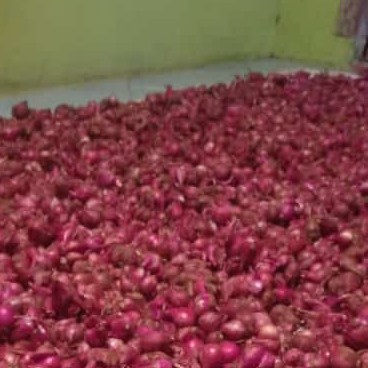 Bawang merah jawa tengah batang barang redy pesan sekara 5