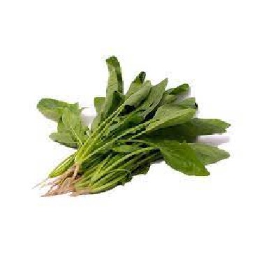 Bayam