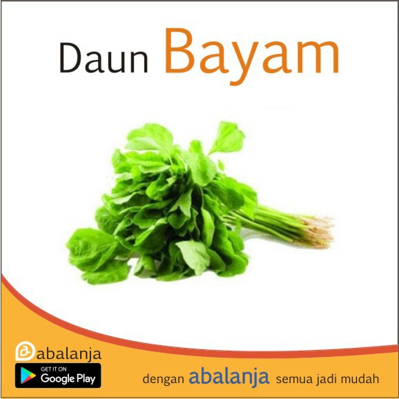 Bayam 1 Ikat