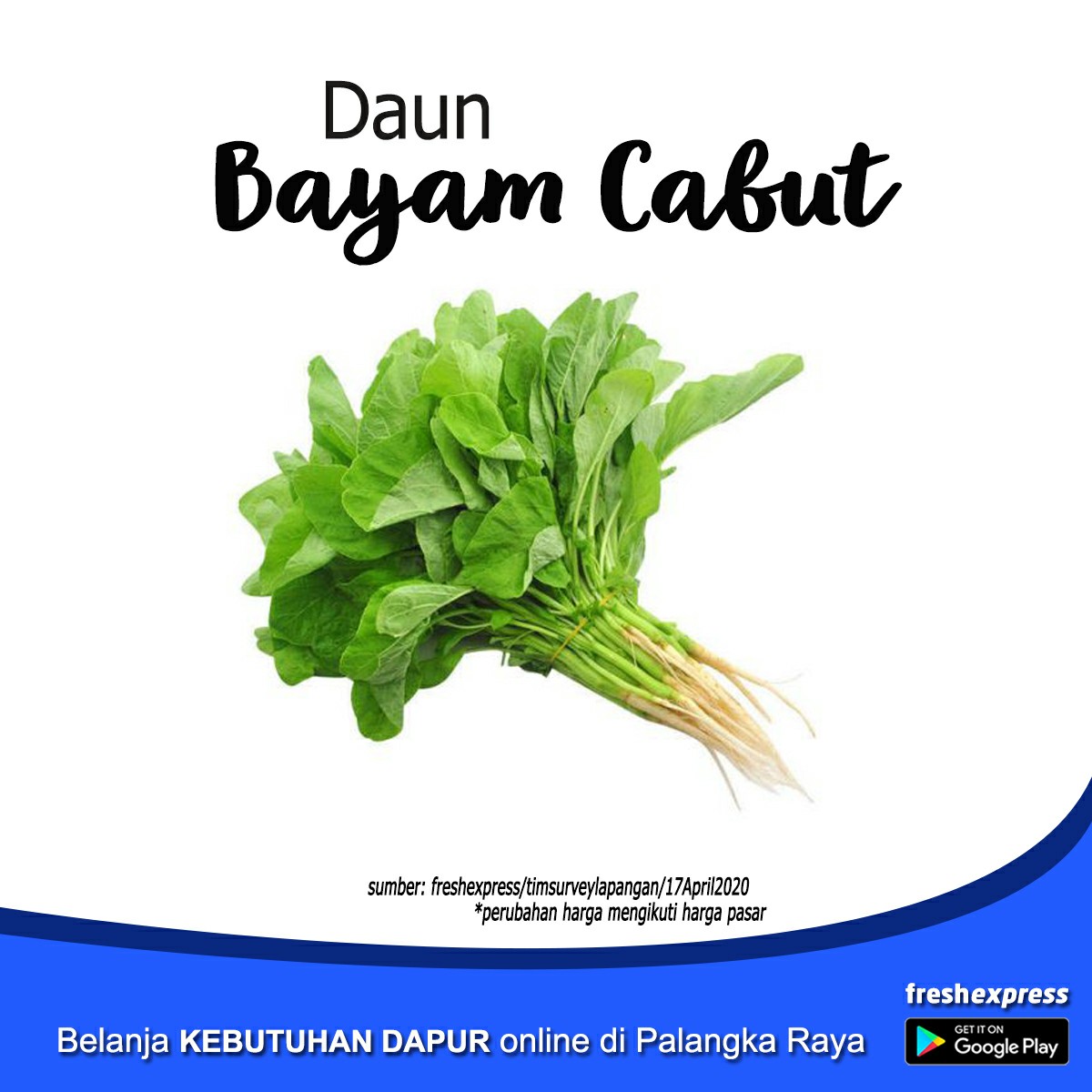 Bayam Cabut