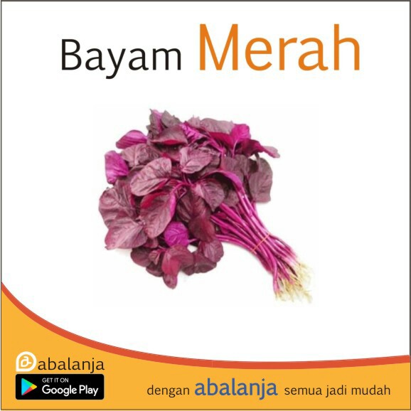 Bayam Merah 1 Ikat