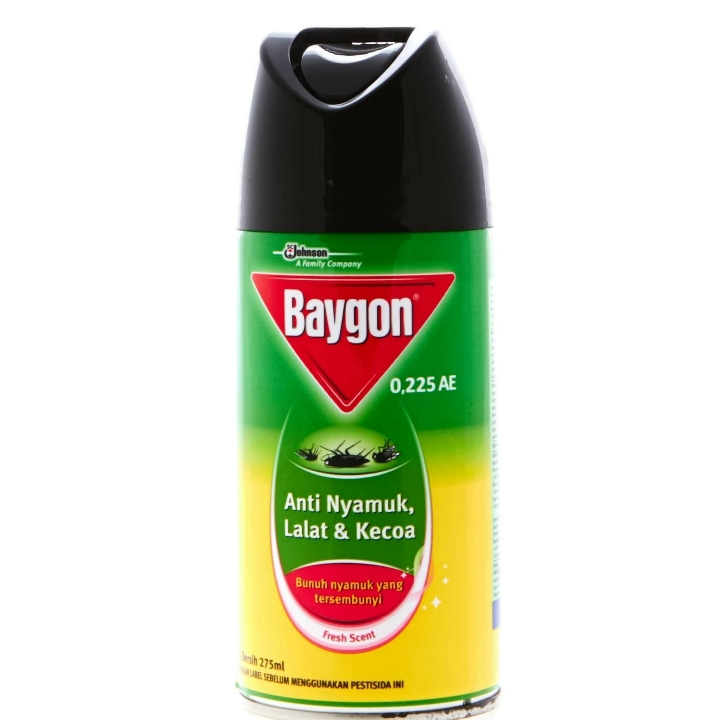 Baygon 600ml