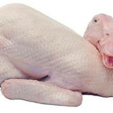 Bebek