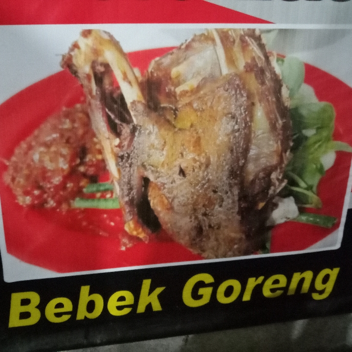 Bebek Goreng Prapatan Dengan Nasi