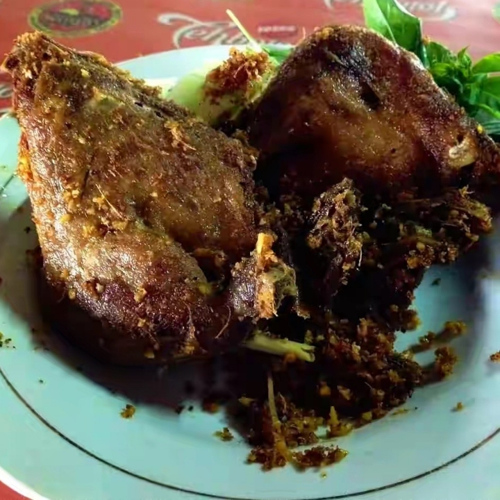 Bebek Sinjay 