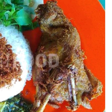 Bebek Sinjaya