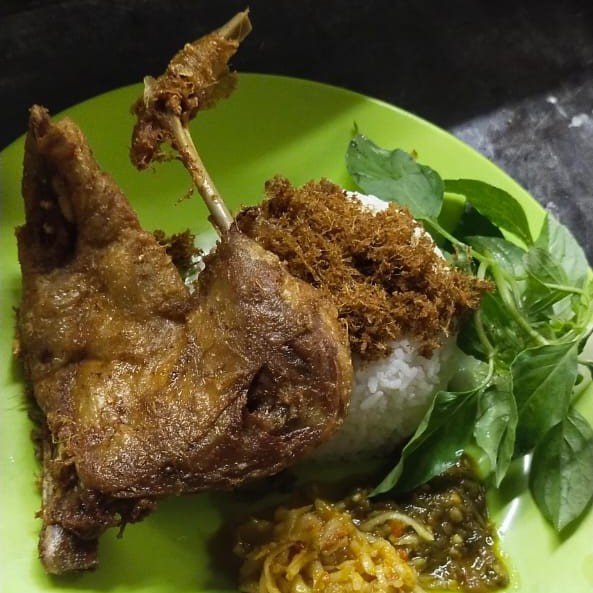 Bebek Sinjaya