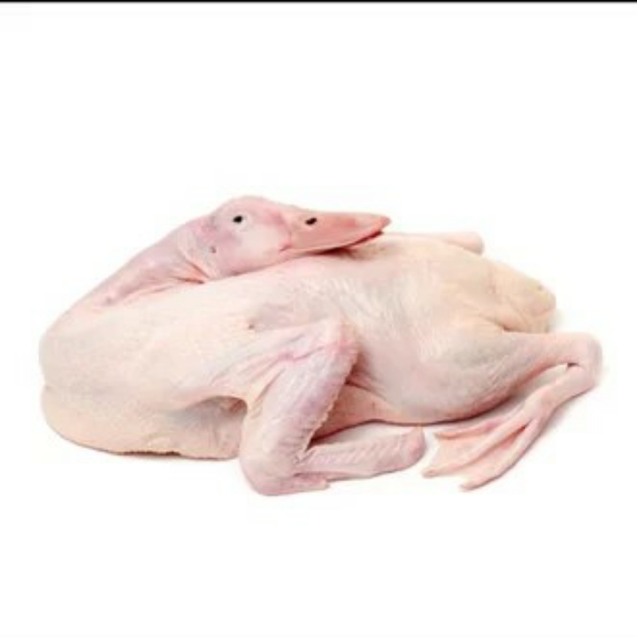 Bebek Utuh