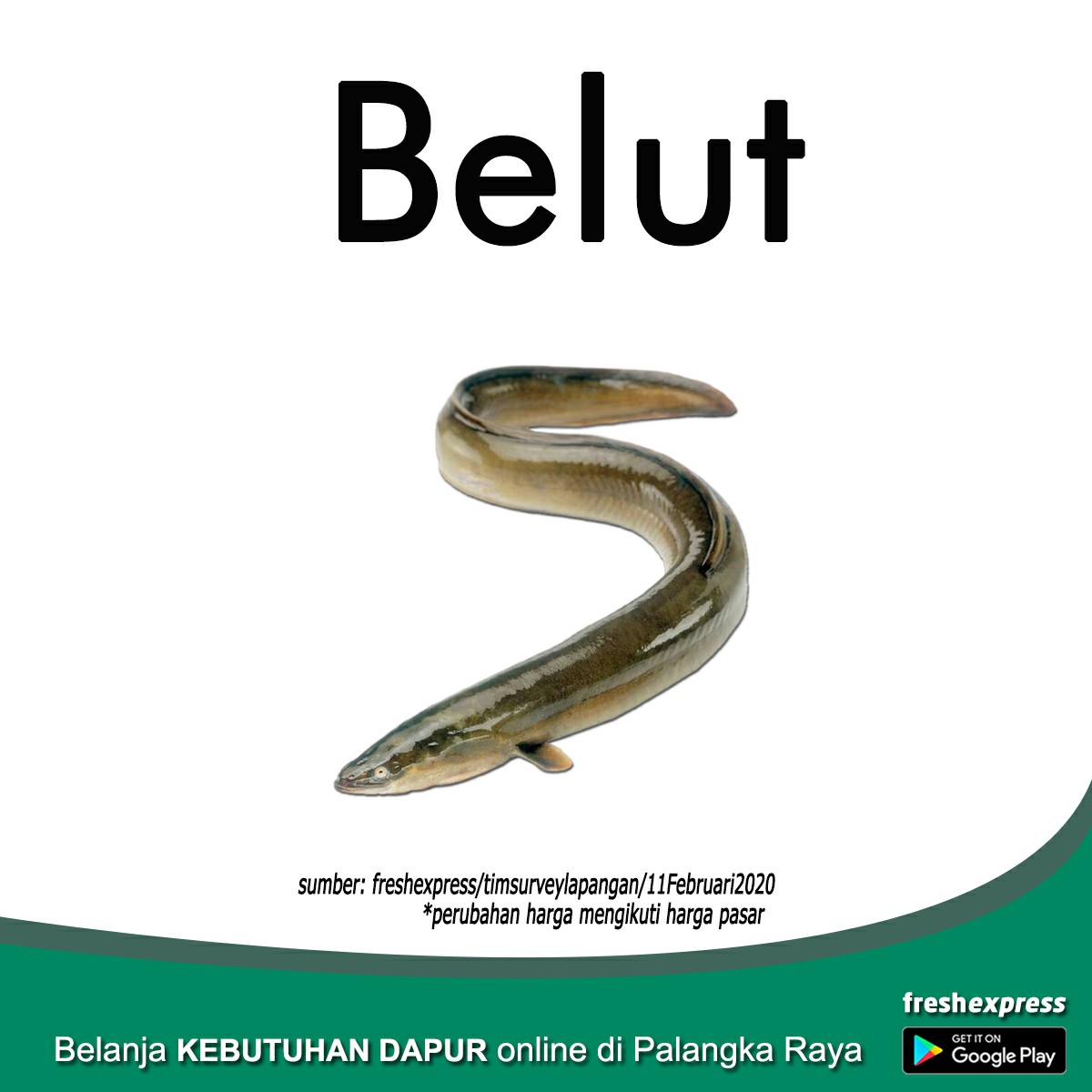 Belut 1 Kg