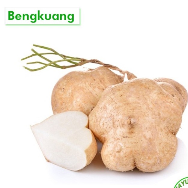 Bengkoang