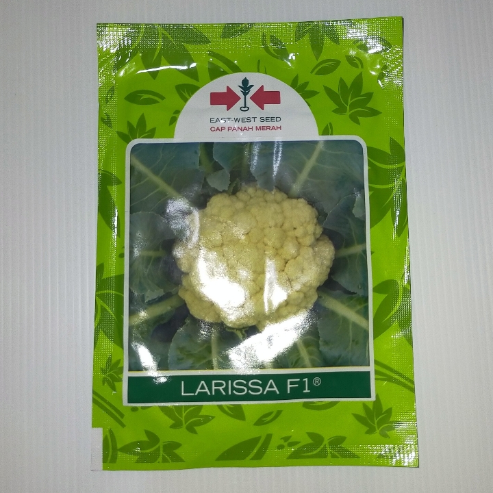 Benih Kembang Kol Larissa