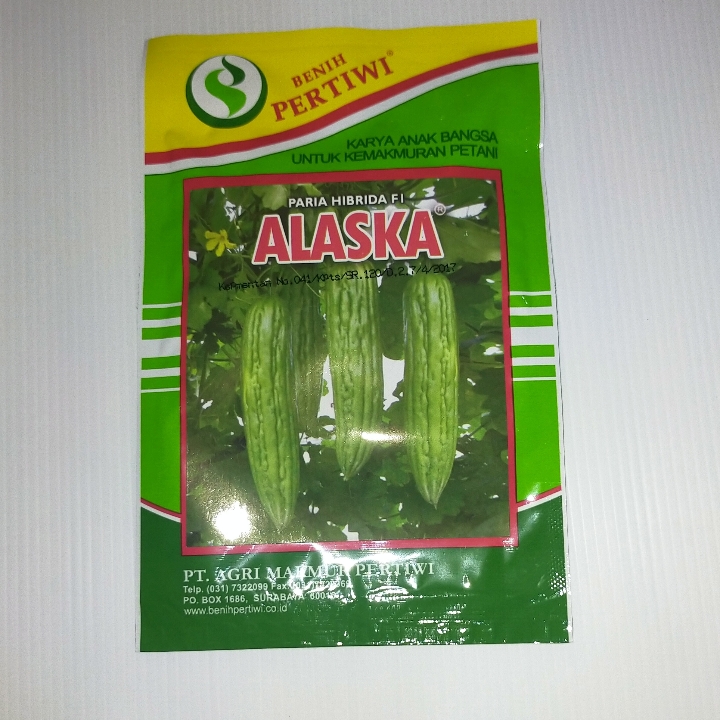 Benih Pare Alaska