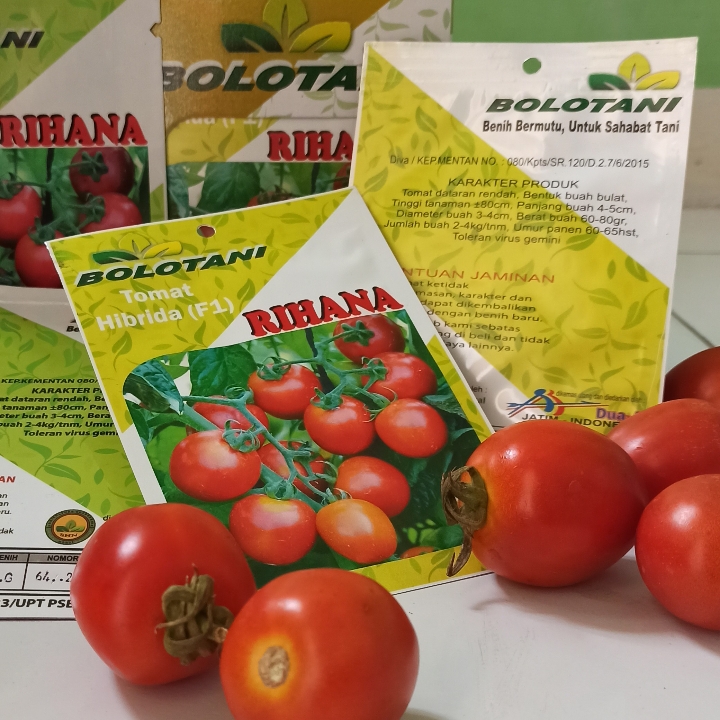 Benih Tomat Sayur RIHANA BOLOTANI 1 Gr