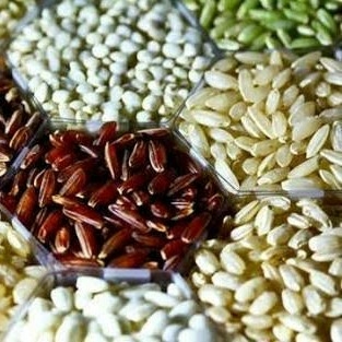 Beras Kacang dan Umbi