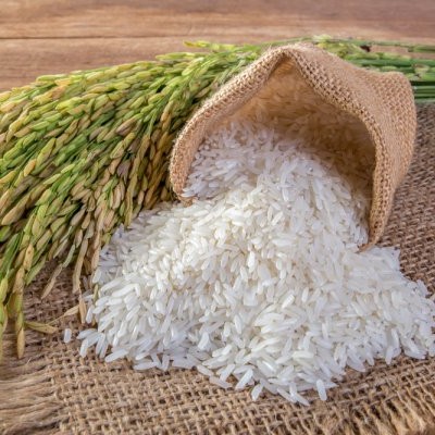 Beras Putri Sejati 10kg