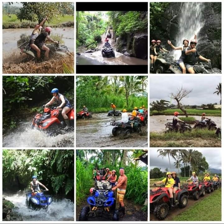 Best Activity 
