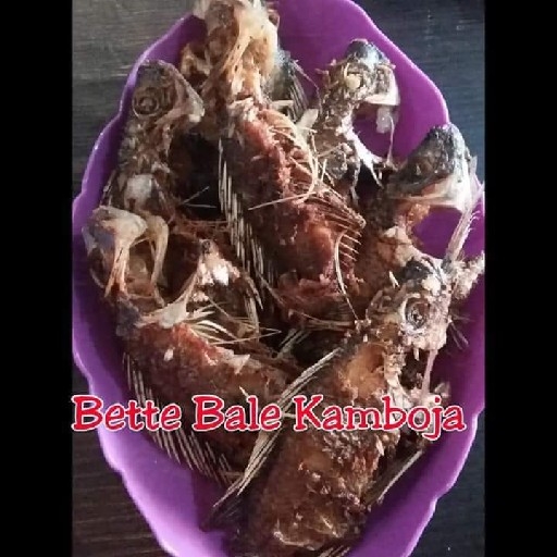 Bette Bale Kamboja