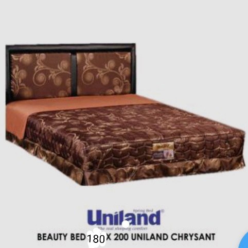 Beuty Bed paradise Crysant