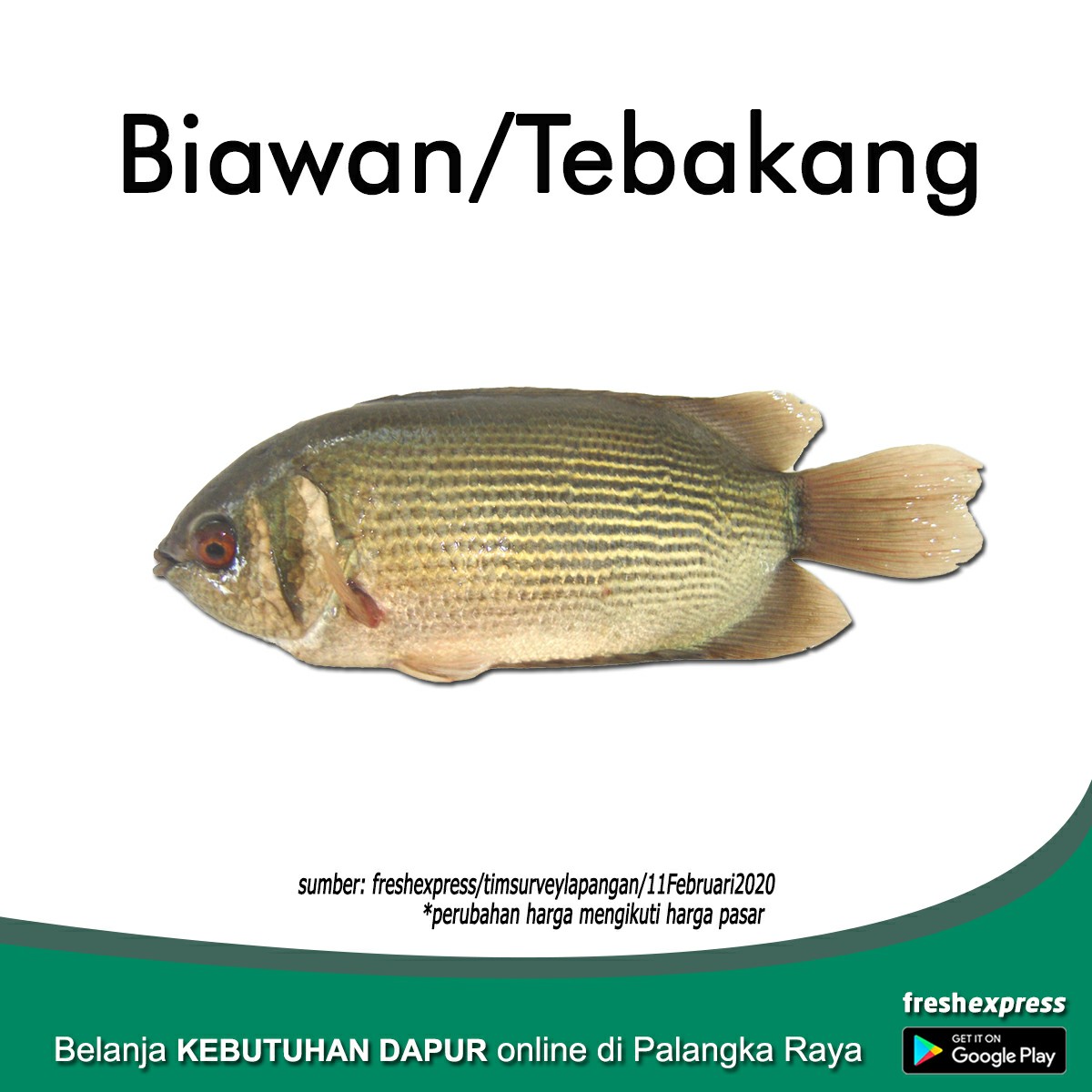 Biawan - Tebakang 1 Kg