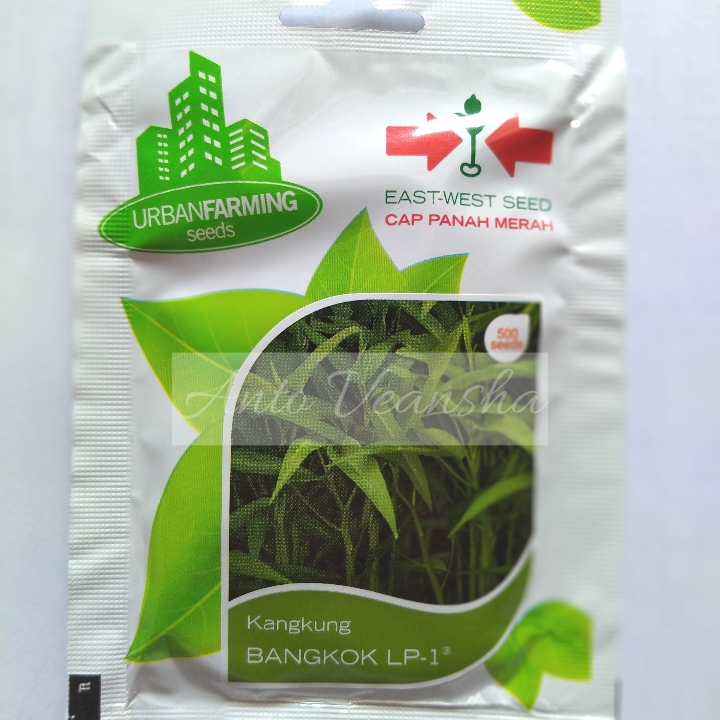 Bibit Kangkung - Bangkok LP1