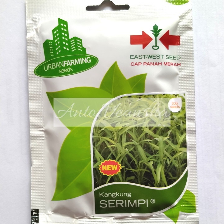 Bibit Kangkung - Serimpi