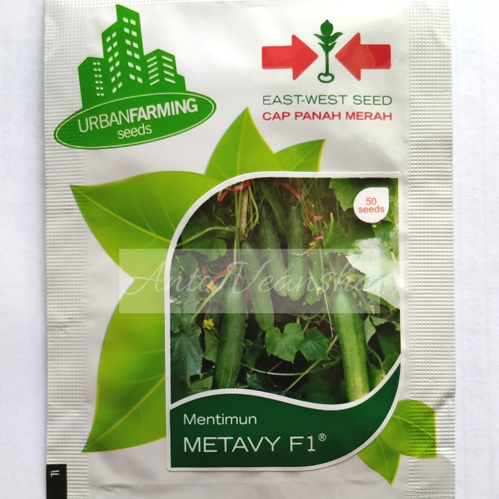 Bibit Mentimun - Metavy F1
