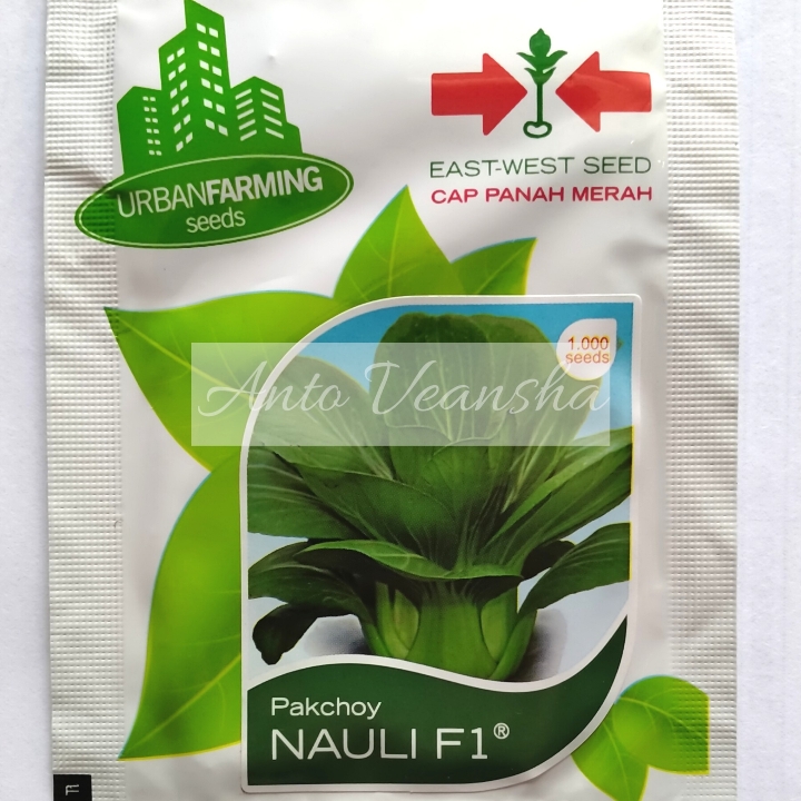 Bibit Pakchoy - Nauli F1