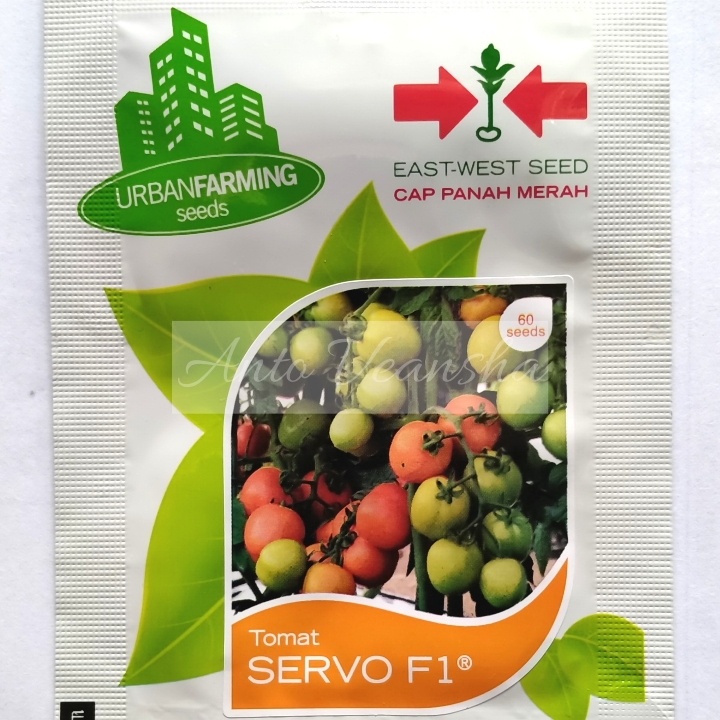 Bibit Tomat - Servo F1