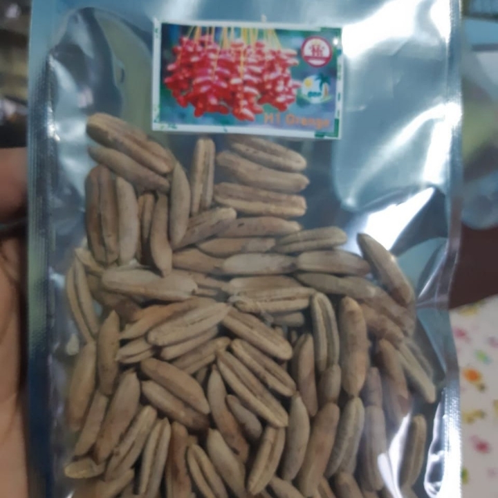 Biji H1 Fully Growth ORI