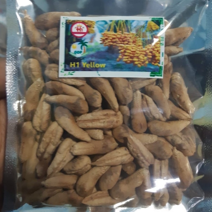 Biji H1 Selectiv ORI