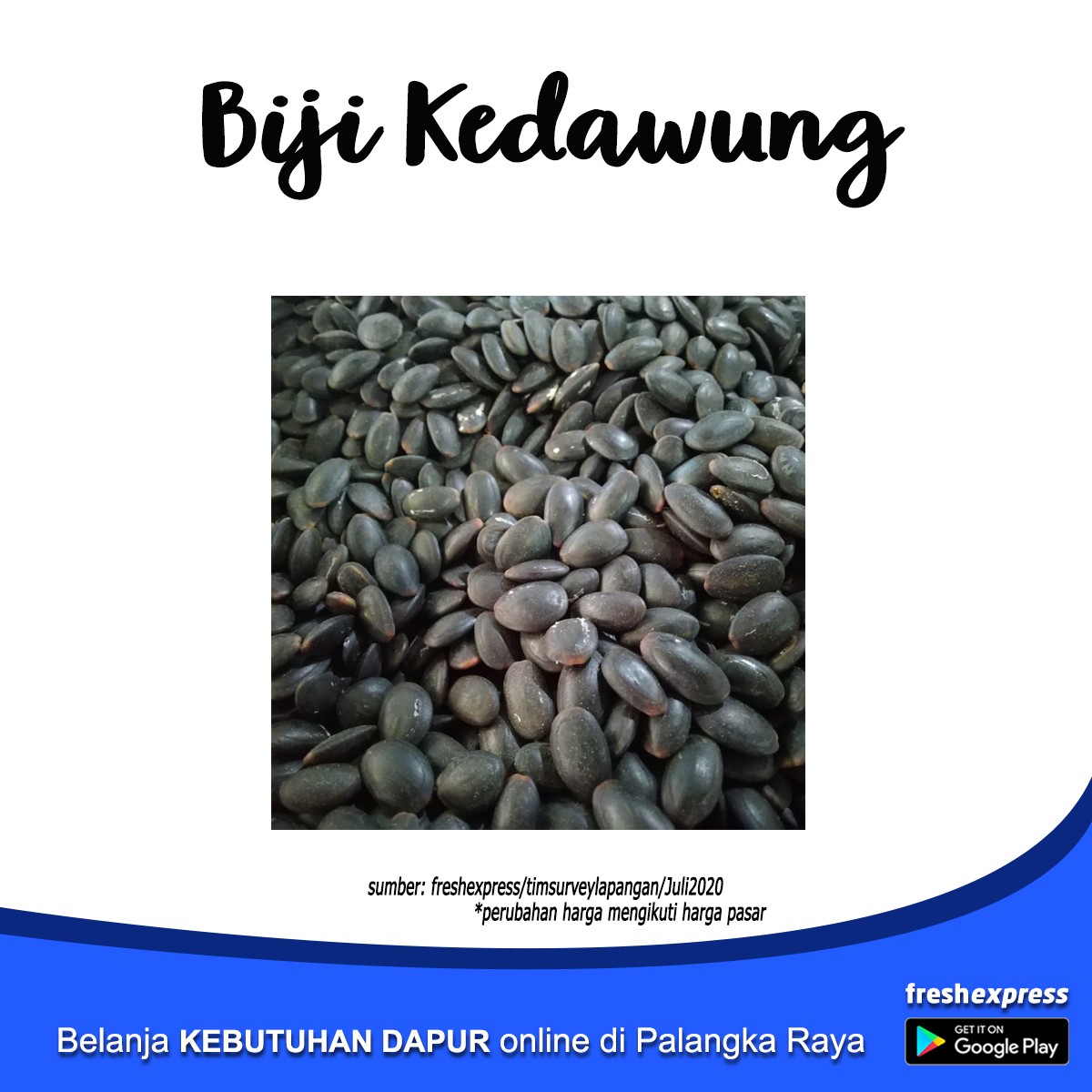 Biji Kedawung 1 Kg