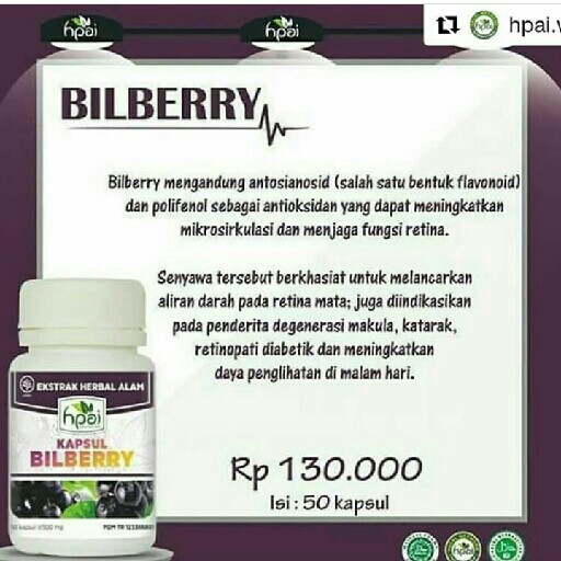 Bilberry