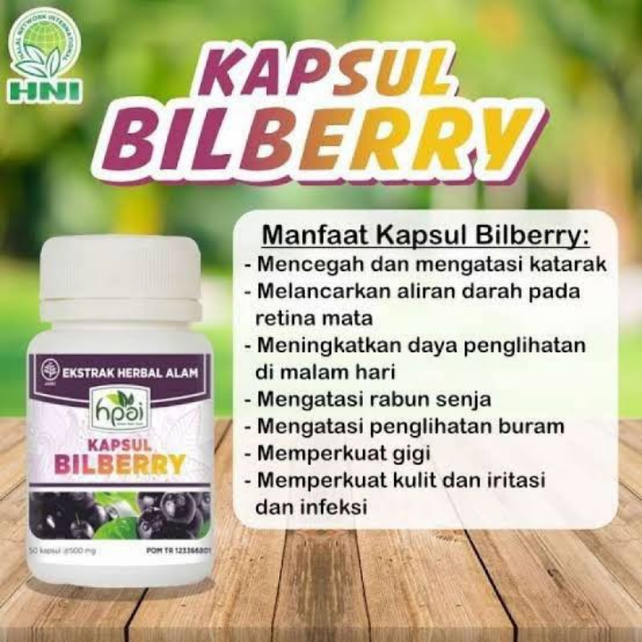 Bilberry HNI HERBAL SPECIALIS KESEHATAN MATA 3