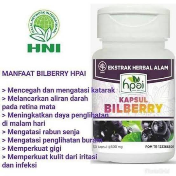 Bilberry HNI HERBAL SPECIALIS KESEHATAN MATA 4