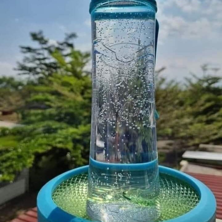 Bioglas MCI 2