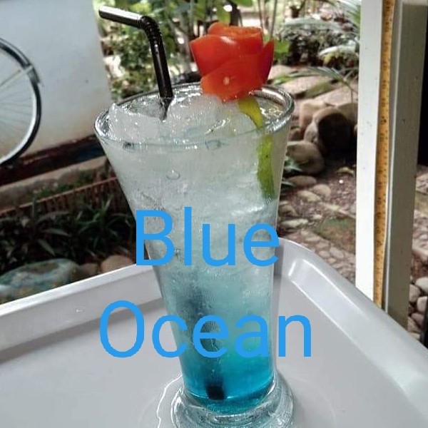Blue OCean Al-El