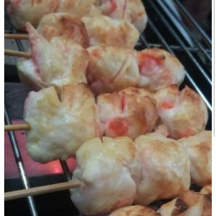 Bola Salmon