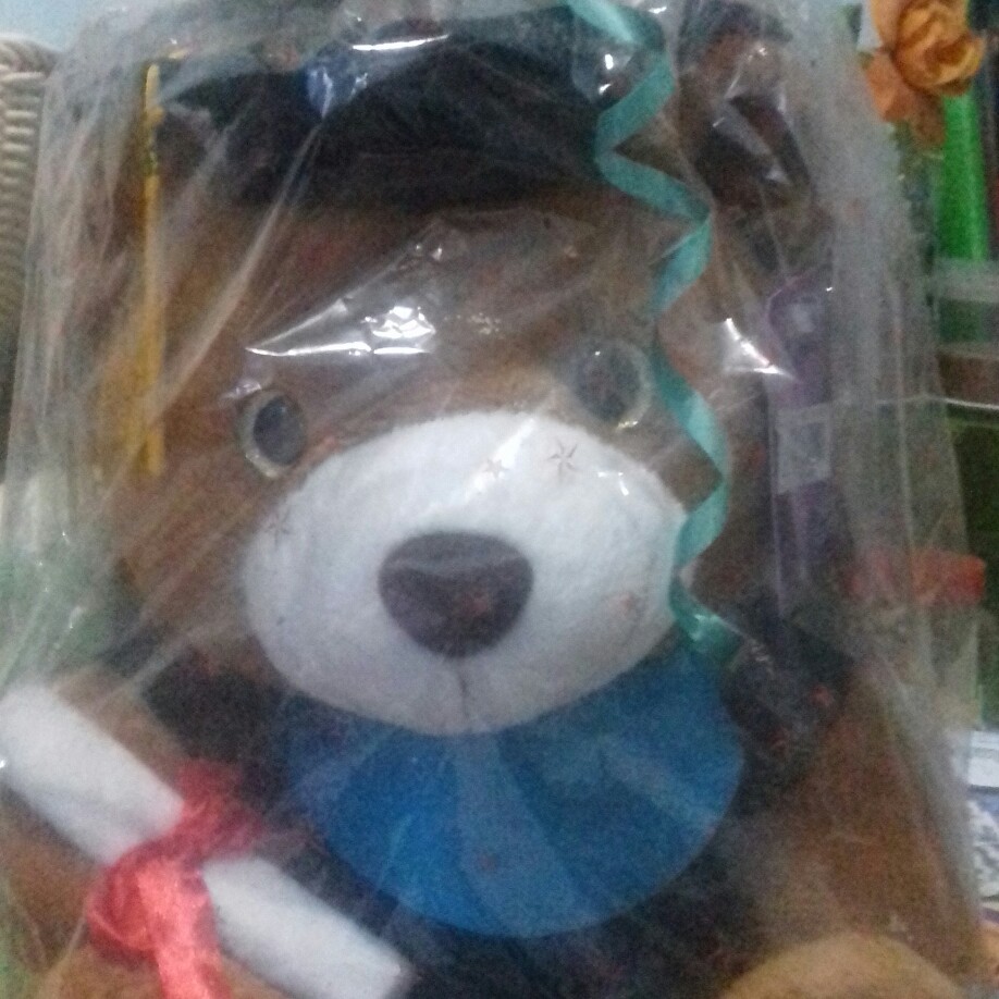 Boneka Wisuda