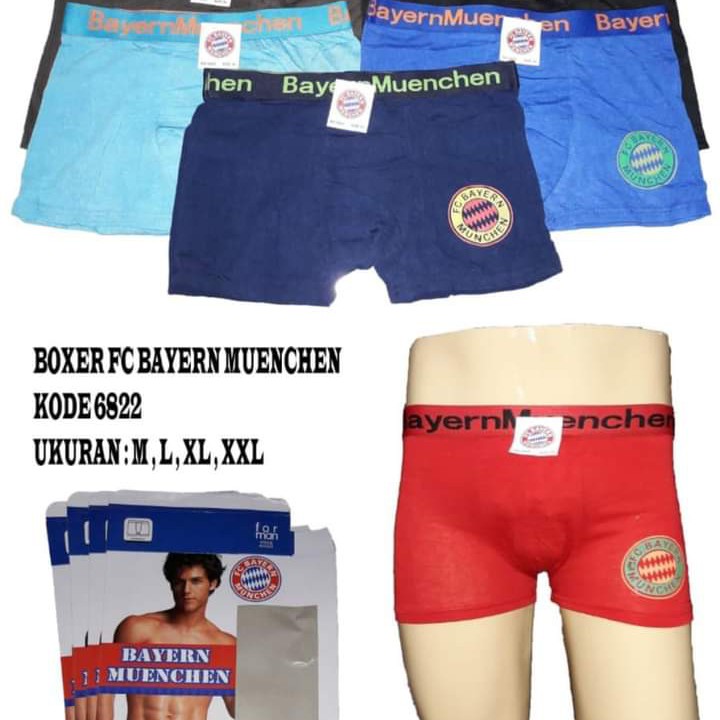 Boxer Bayer Muenchen 6822