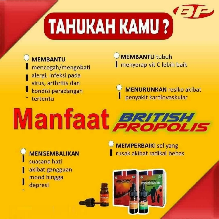 British Propolis Reguler