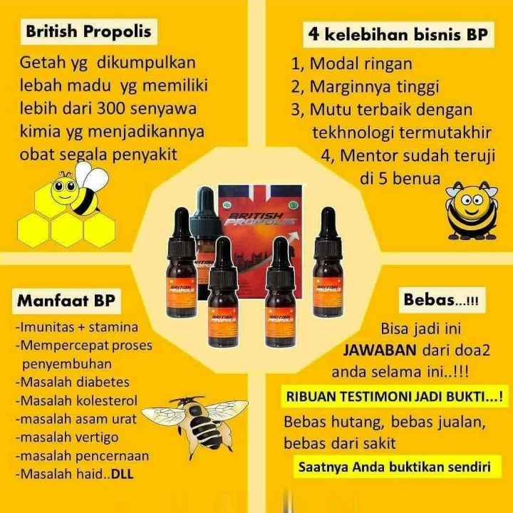 British Propolis Reguler 2