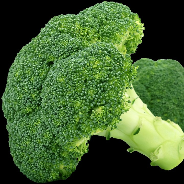 Brokoli